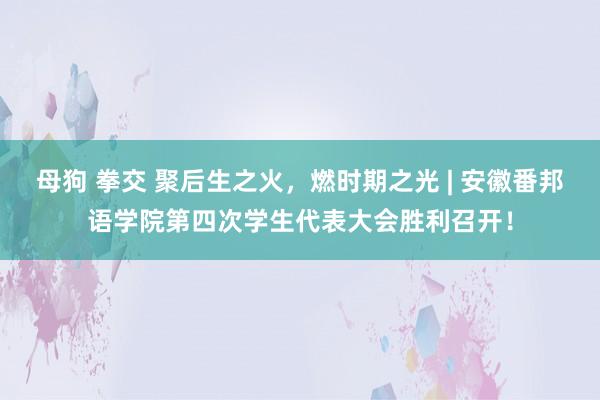 母狗 拳交 聚后生之火，燃时期之光 | 安徽番邦语学院第四次学生代表大会胜利召开！