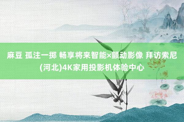 麻豆 孤注一掷 畅享将来智能×颤动影像 拜访索尼(河北)4K家用投影机体验中心